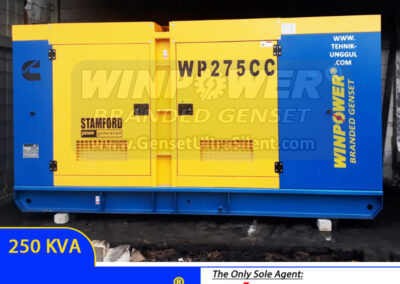 Genset Cummins 250 KVA 3 Stamford