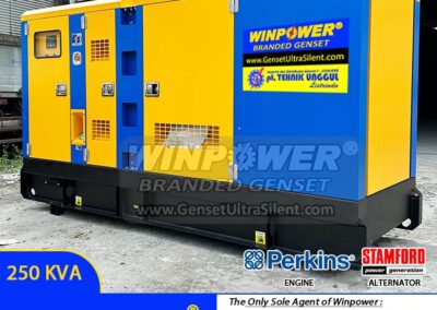 Genset Perkins WinPower 250 KVA